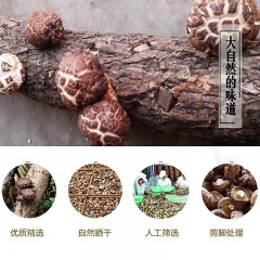 椴木香菇